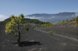 La Palma