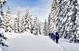 Schneeschuh-Touren