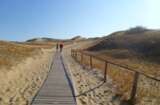 Schweizer Wanderwege  - Wandern im Baltikum