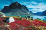 Expeditions-Seereise Ostgrönland