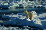 Naturparadies Spitzbergen, MV Hondius