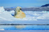 Exklusiv  Naturparadies Spitzbergen