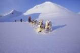 Schwedisches Hochland - Neujahrs Tour
