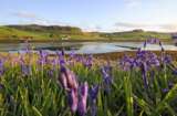 Tamedia Leserreise - Inselleben in Schottland