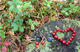 Im Herzen Lapplands, Herbstreise