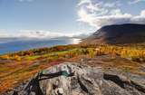 Autotour für Wandervögel Herbst