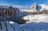 Unterwegs zu den Lofoten im Winter