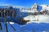 Lappland und Lofoten zum Valentinstag
