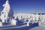 Tages Anzeiger Leserreise Winterzauber Lappland