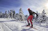 Langlauf - Training und Geniesser Touren
