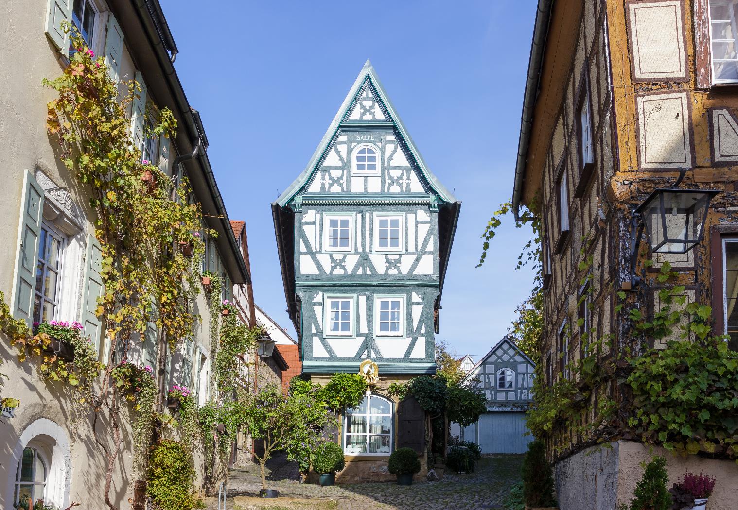 Casanova: Velo-Genuss an Neckar, Rhein und Main