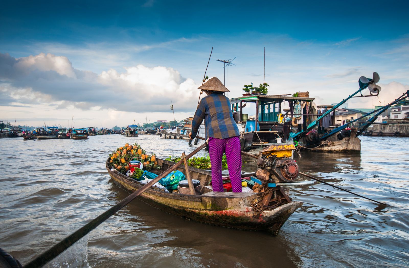 Mekong Discovery: Le delta fascinant et le Mékong